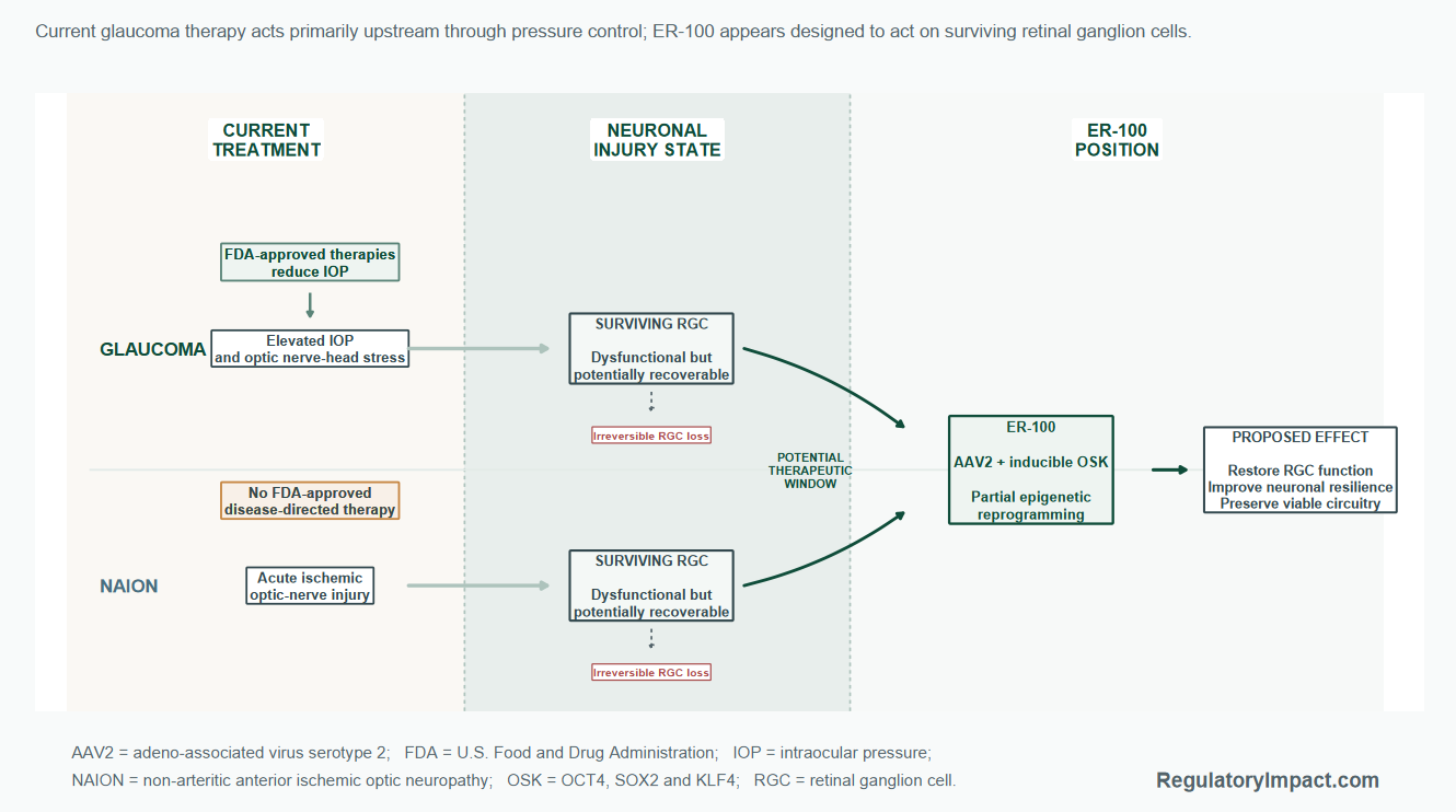 Where ER-100 Could Fit in Optic Neuropathy Treatment